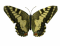 userIcon